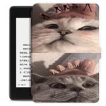 Smart Case For Kindle Paperwhite 10Th Generation 2018 - Pu Leather Protective Covers For Kindle Paperwhite Ebook Reader Case Kindle Accessory-Foo