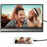 ASUS ZenScreen Go MB16AP 15.6 Inch USB Type-C Portable Monitor, FHD (1920x1080), IPS, up to 4 hours battery, Foldable Smart case, Compatible with