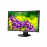 NEC Multisync E243WM LCD Monitor (Renewed)