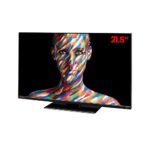 Avtex M219DRS PRO 21.5inch TV with DVD for Motorhome Caravan Truck Boat - 12v 24v 240v 21.5 inch M219DRS-PRO Widescreen Super Slim 1080 LED Full