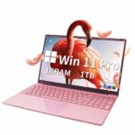 Fsjun Laptop【Win11 Pro/MS Office2019】 15.6 inch IPS FHD Display, Celeron N5095(up to 2.9Ghz), 16GB DDR4 1TB SSD, 2*USB3.0, high Performance Noteb