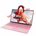 Fsjun Laptop【Win11 Pro/MS Office2019】 15.6 inch IPS FHD Display, Celeron N5095(up to 2.9Ghz), 16GB DDR4 512GB SSD, 2*USB3.0, high Performance Not