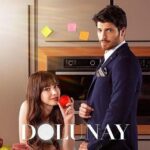 Dolunay Full Moon *All Episodes Full 1080 HD English Subtitles USB Memory Stick* Erkenci Kus Can Yaman TV Series Ferit Nazli True Love Story (Sub